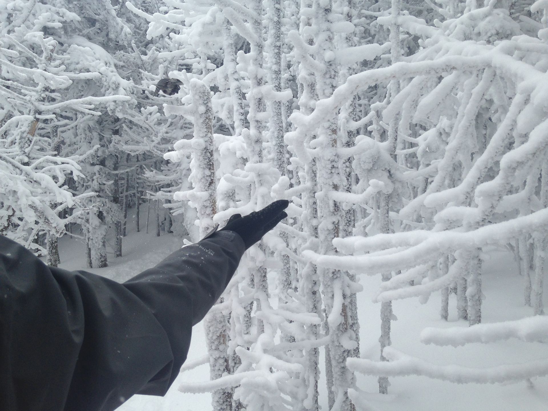 Hiking photo from 2017-01-28